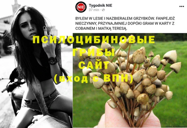 эйфоретик Белокуриха
