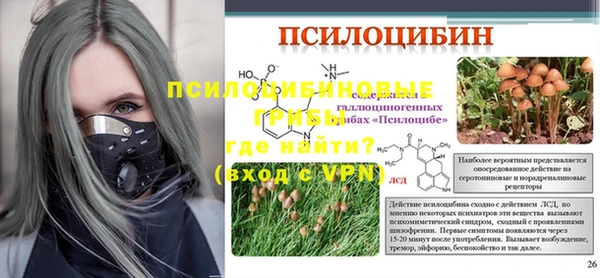 эйфоретик Белокуриха