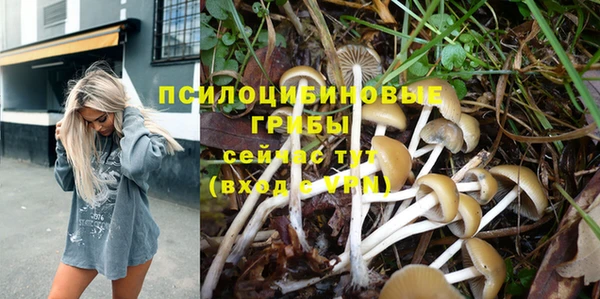 эйфоретик Белокуриха